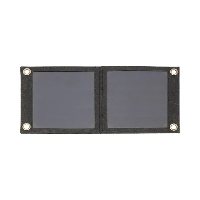 PIS-0569 PIS-0569