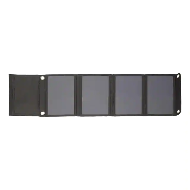 PIS-0571 PIS-0571