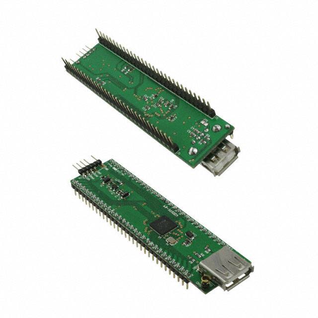 V2DIP1-64 V2DIP1-64